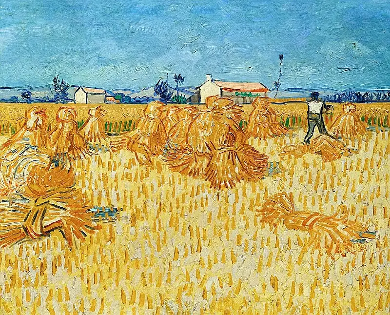 Ernte_in_der_Provénce van Gogh